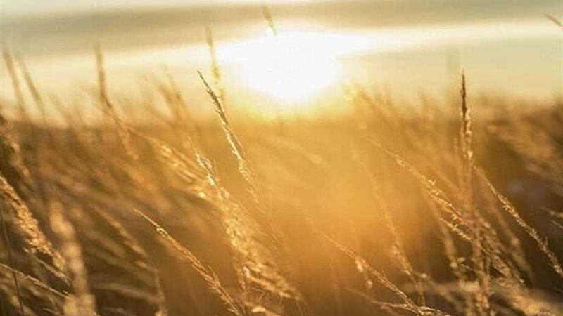 علماء: الشمس كانت