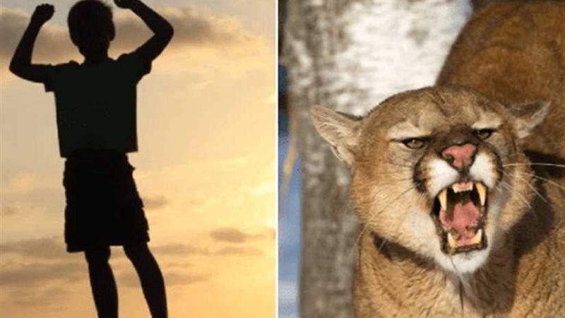 العمر لحظة.. طفل