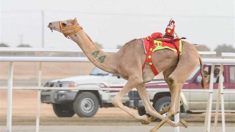 بروق تحسم الشوط الأول