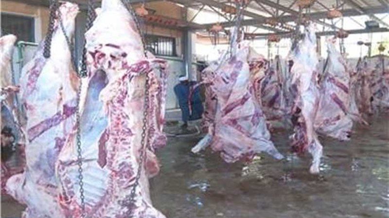 توزيع 4 أطنان من