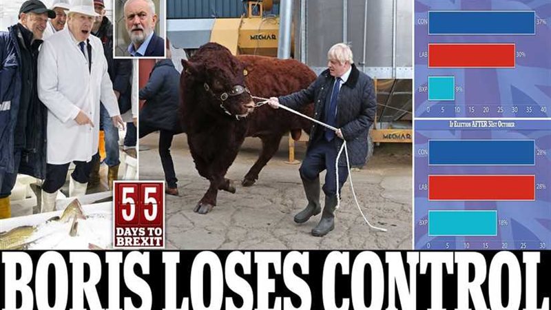 جونسون والثور العنيد..