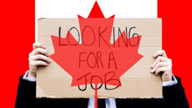 استقرار معدل البطالة