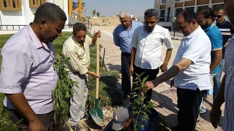 رئيس جامعة العريش