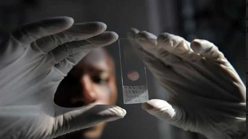 العالم بلا ملاريا