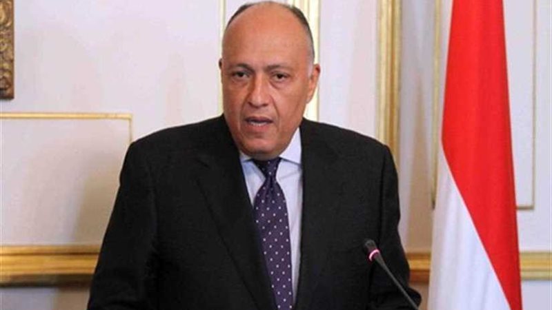 وزير الخارجية يؤكد