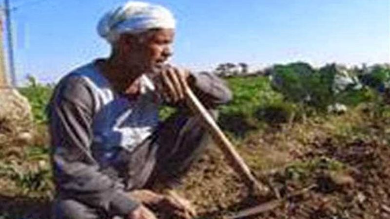 عيد الفلاح.. قرار