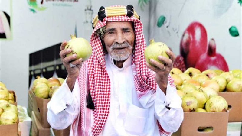 السعودية.. بيع الرمان