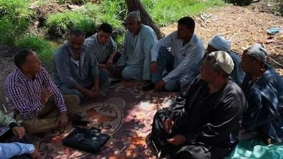 الإرشاد الزراعي بالبحيرة ينظم يوم حقل لمزارعي فول الصويا بكفر الدوار