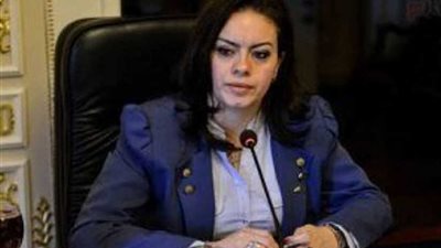 سيلفيا نبيل: اجتماعات 