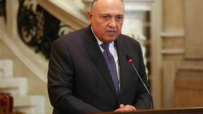 وزير الخارجية يشيد بارتقاء مستوى علاقات التعاون بين مصر والإمارات