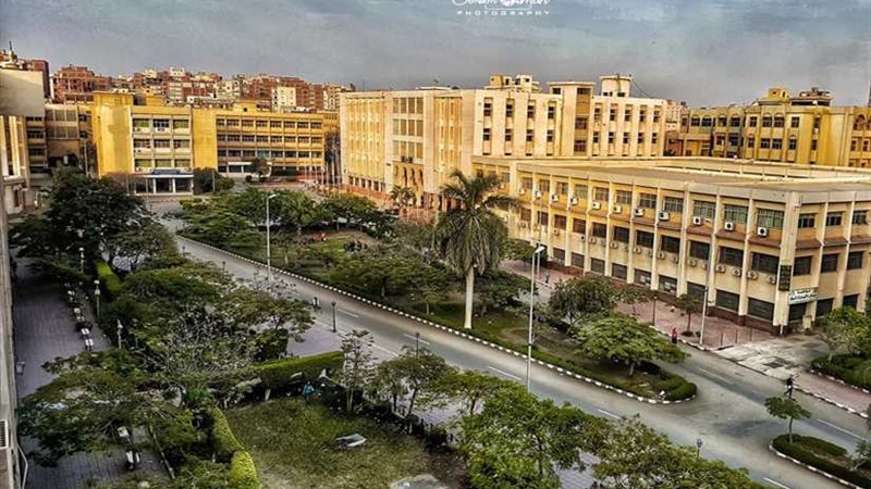 التنسيق الحضاري يشارك