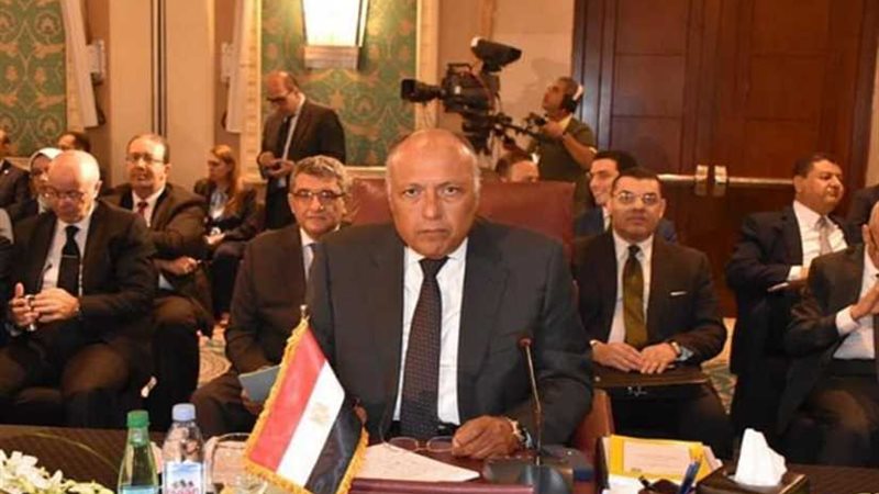 شُكري يُشارك في اجتماع