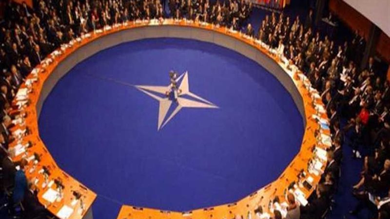 أوكرانيا والناتو