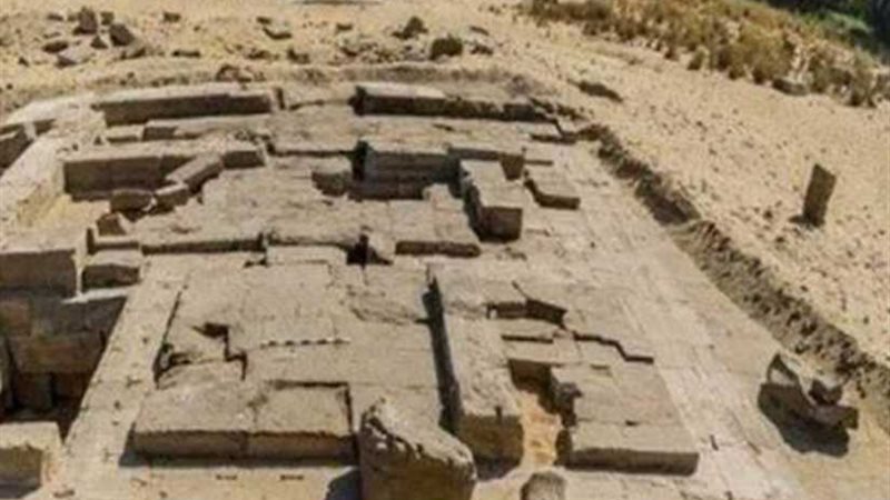 بالصور.. الصدفة تكشف