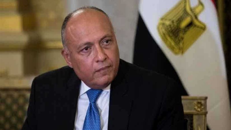 شكرى: مصر لن تدخر