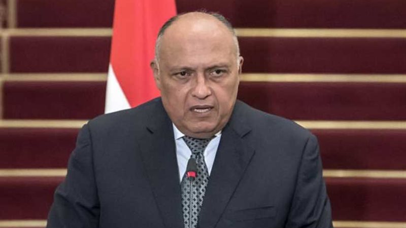 وزير الخارجيّة يلتقي