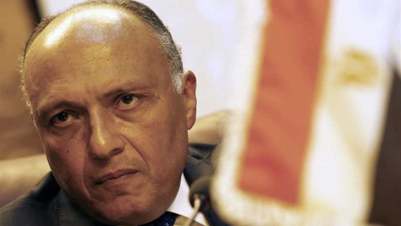 شكري: مشاورات عربية