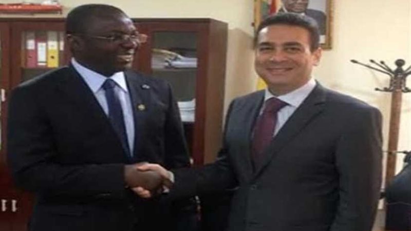 السفير المصري في