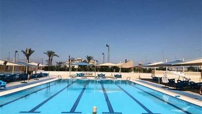 مجلس نادي الشيخ زايد يطلب إنجاز الحمام السباحة الأوليمبي