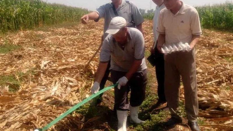 بعد ظهورها بقريتين..