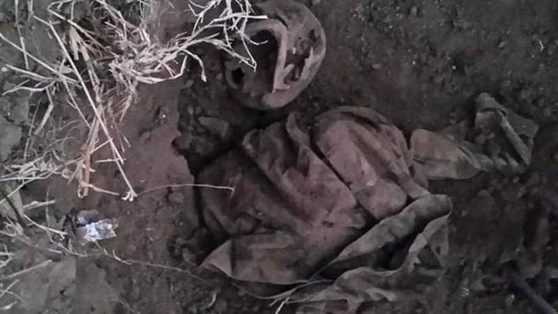 العثور على 9 جثث