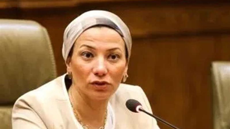 البيئة: 304 منشآت