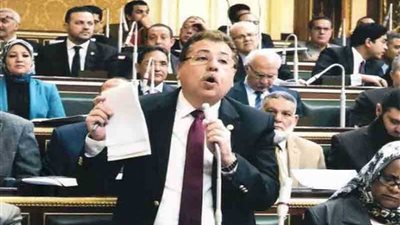 برلمانية الحركة الوطنية تعلن دعمها للمفاوض المصري في قضية سد النهضة ضد مراوغات إثيوبيا