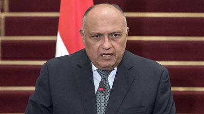 رسالة للرئيس السيسي من نظيره الكيني يتسلمها وزير الخارجية