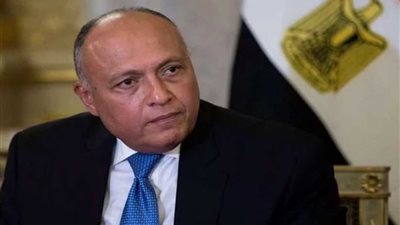 وزير الخارجية : مصر على استعداد للتوصل إلى نقطة توافق بخصوص مفاوضات 