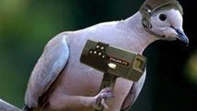 تقرير أمريكي يكشف: دولتان استخدمتا 