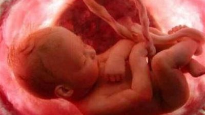 مصري يفوز بجائزة 