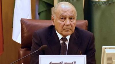 أبو الغيط: البرازيل شريك وقطب جامع للعرب في أمريكا الجنوبية