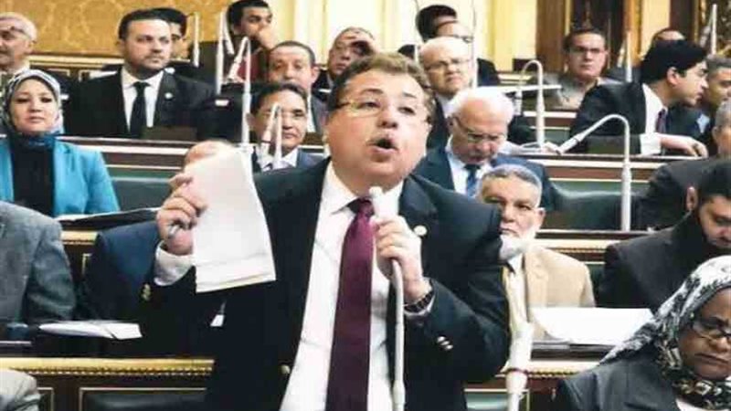 برلمانية الحركة الوطنية