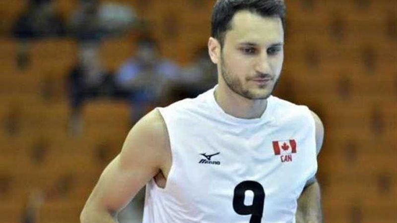 السيرة الذاتية للمحترف