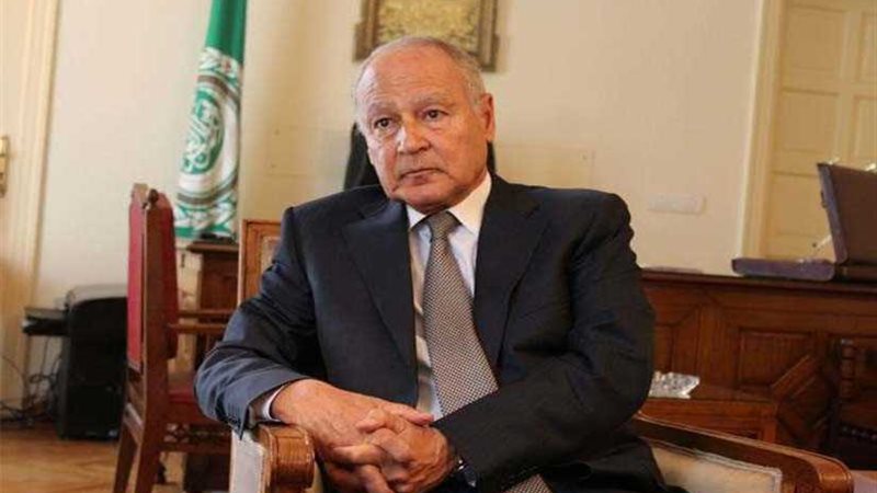 أبو الغيط يؤكد لوزيرة