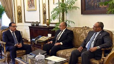 تعاون مصري إماراتي في مشروع نقل محطة الزهراء للخيول العربية لـ