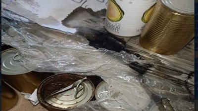 الصحة: ضبط 1128 طنًا و533 كجم أغذية فاسدة بالبحيرة والجيزة