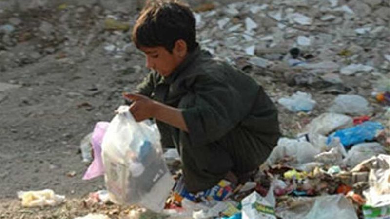 الغذاء العالمي: نحتاج