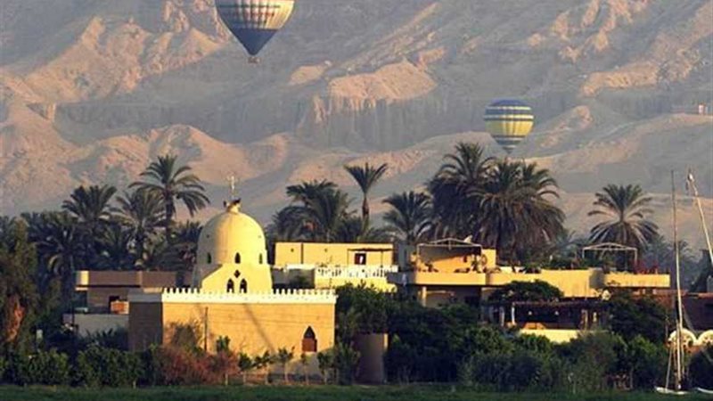 رئيس الشركة المصرية