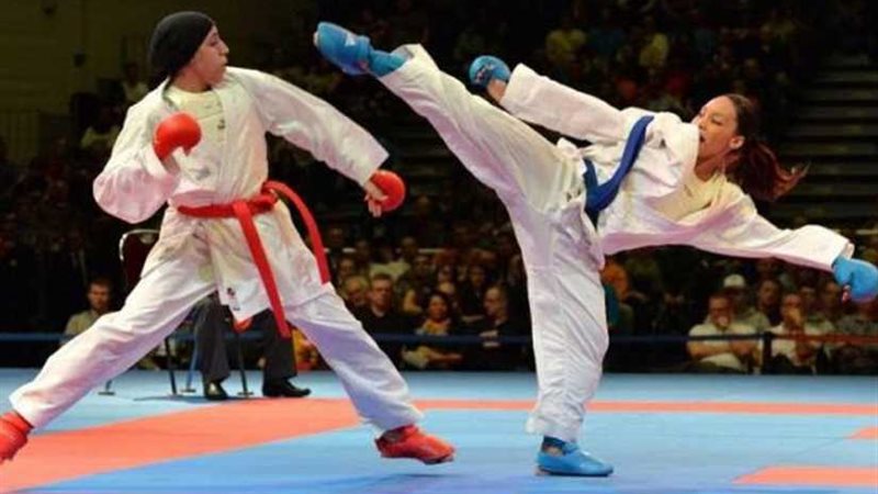 نائب رئيس اتحاد الكاراتيه: