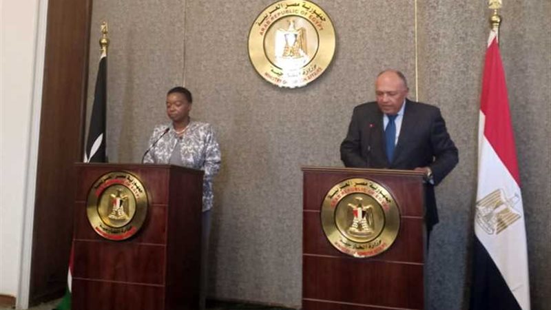 وزير الخارجية يكشف