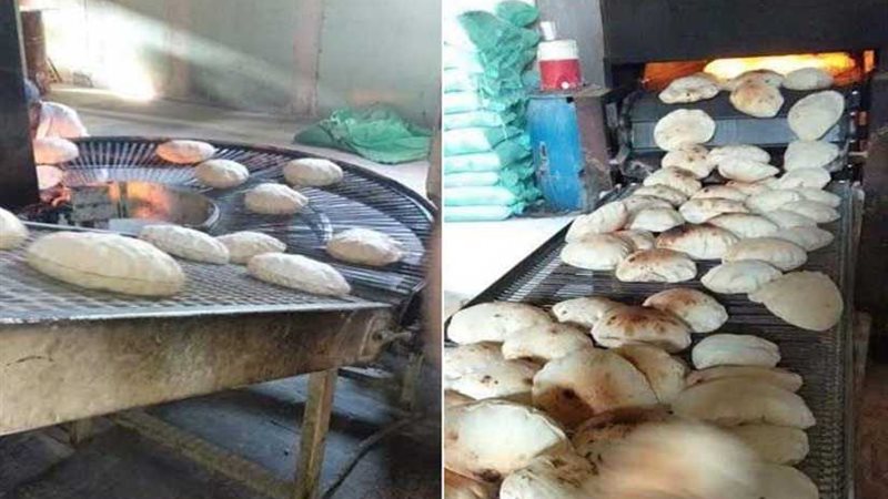 تحرير 52 محضرًا في