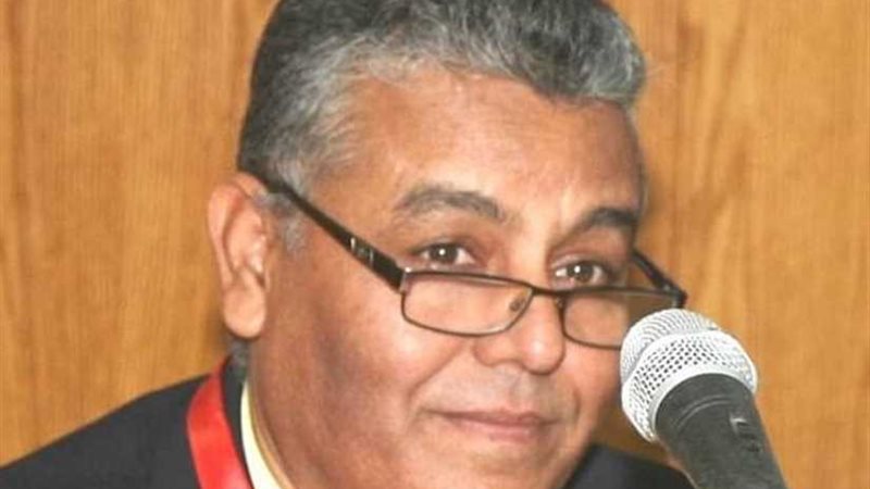 جامعة جنوب الوادى