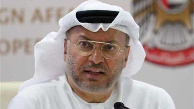 قرقاش : الشعب المصري يتصدى لمنصات الإعلام الموجهة ضد مؤسسات الدولة