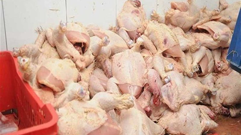 ضبط نحو 24 طن مصنعات