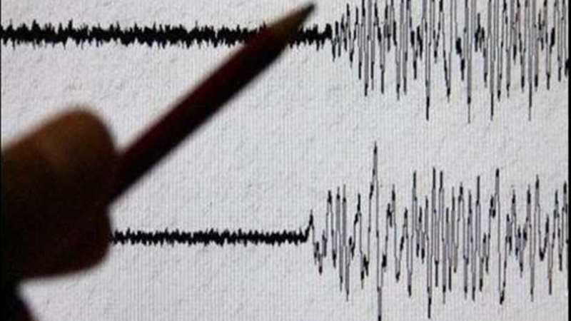 الشبكة القومية للزلازل