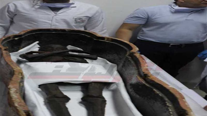 هندسة بنها تحصل على