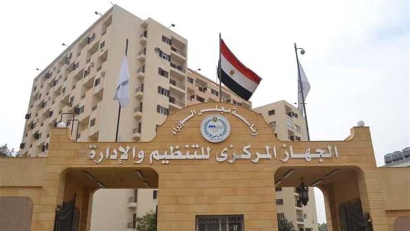 التنظيم والإدارة