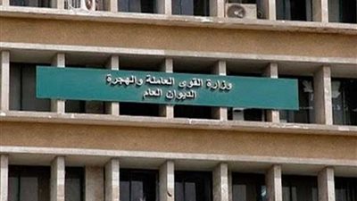القوى العاملة: بدء التدريب على 9 مهن بـ 4 مراكز بالقوى العاملة بالدقهلية
