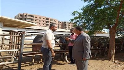 محافظ أسيوط: تطوير مزرعة بني مر لإنتاج الألبان واللحوم
